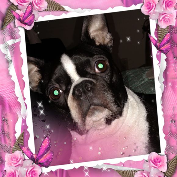 Meet your Posher, Nancy - Picture 1 of 1